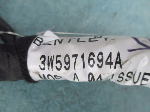 Bentley Continental Flying Spur right rear door wire harness used