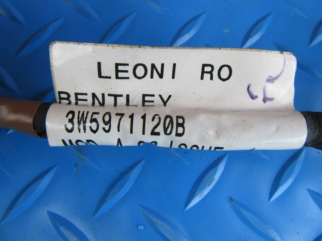 Bentley Continental Flying Spur left front door wire harness #1863