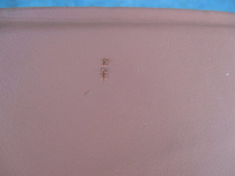 Bentley Continental Flying Spur left driver headliner brown