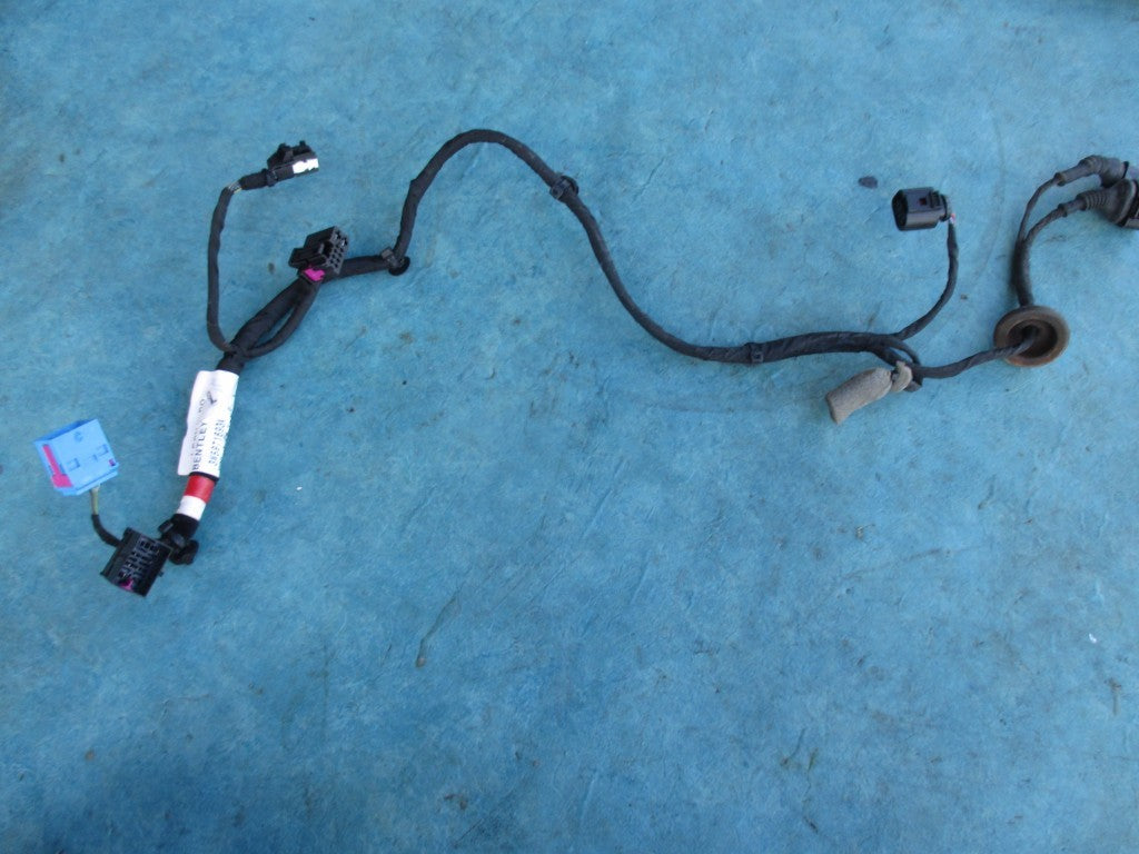 Bentley Flying Spur left rear door wire harness #2428